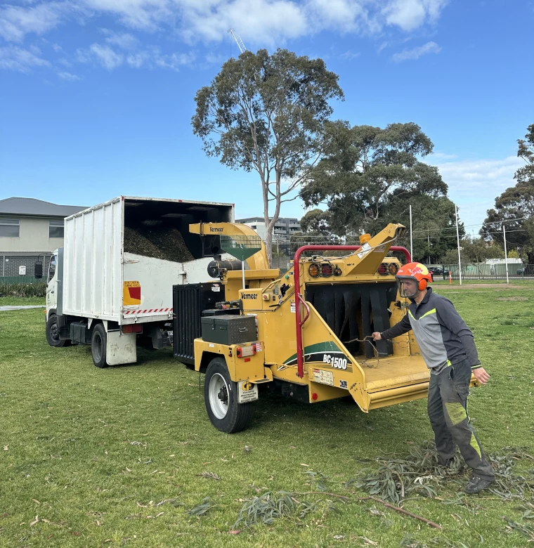 EcoSafe Tree Removal | Trusted Tree Services Melbourne
